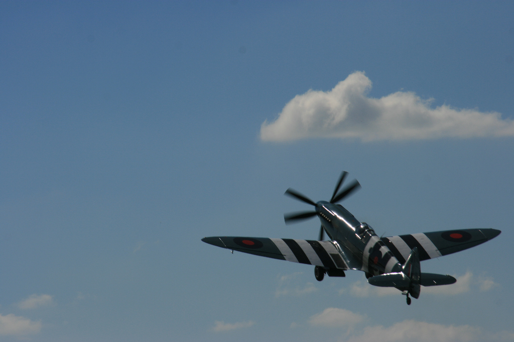 Spitfire Mk XIX PS890 F-AZJS