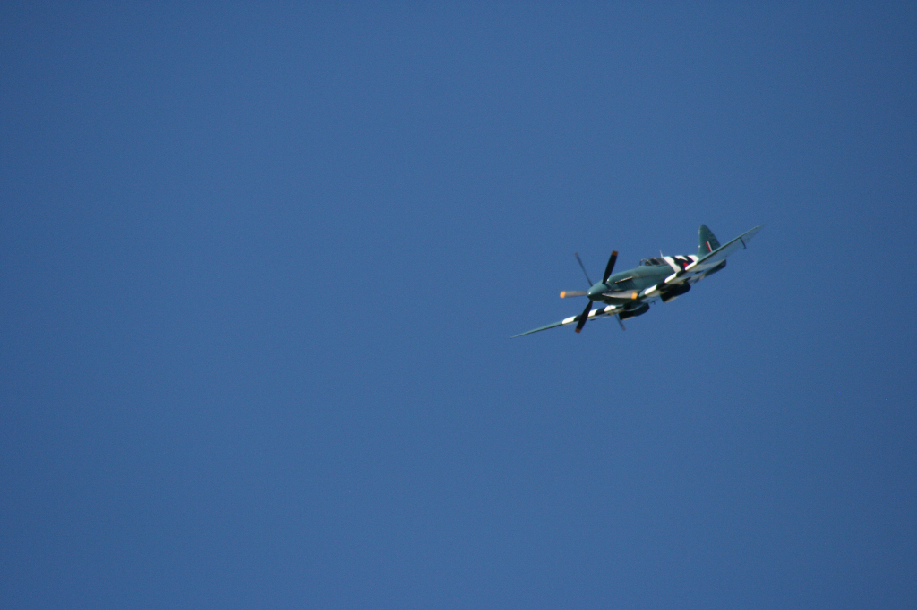 Spitfire Mk XIX PS890 F-AZJS