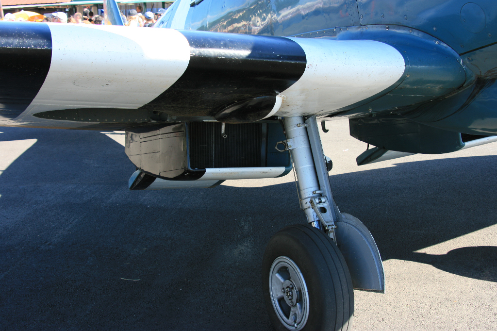 Spitfire Mk XIX PS890 F-AZJS