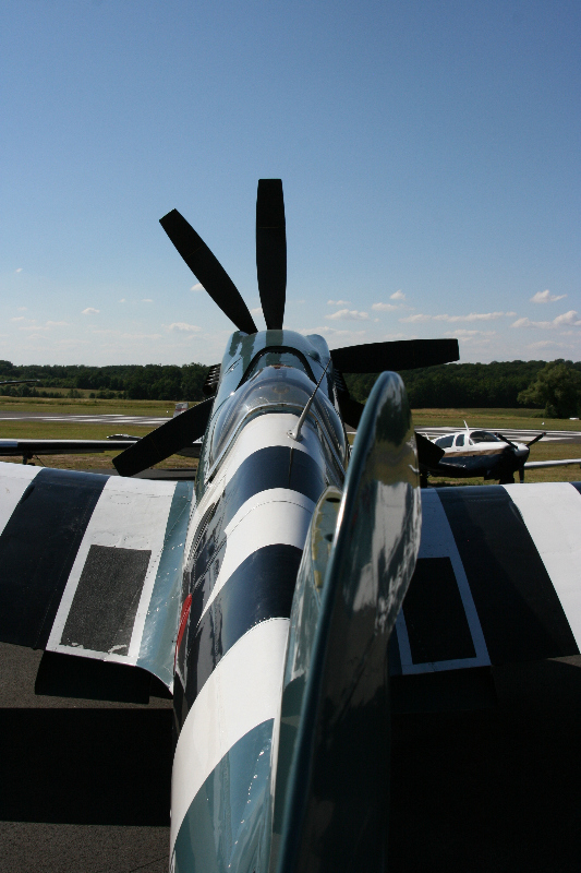 Spitfire Mk XIX PS890 F-AZJS