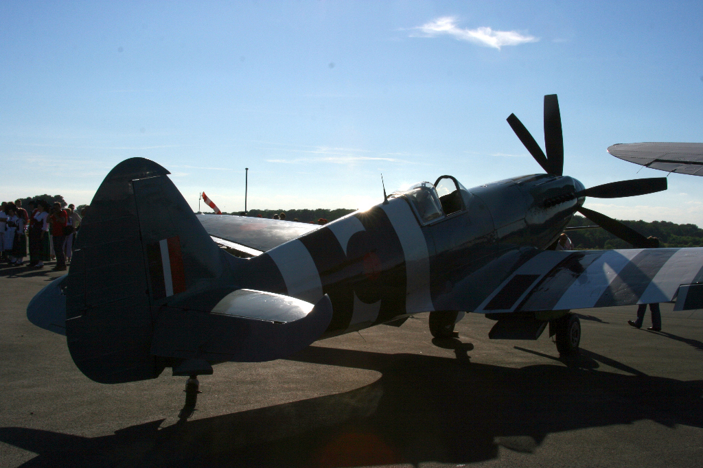 Spitfire Mk XIX PS890 F-AZJS