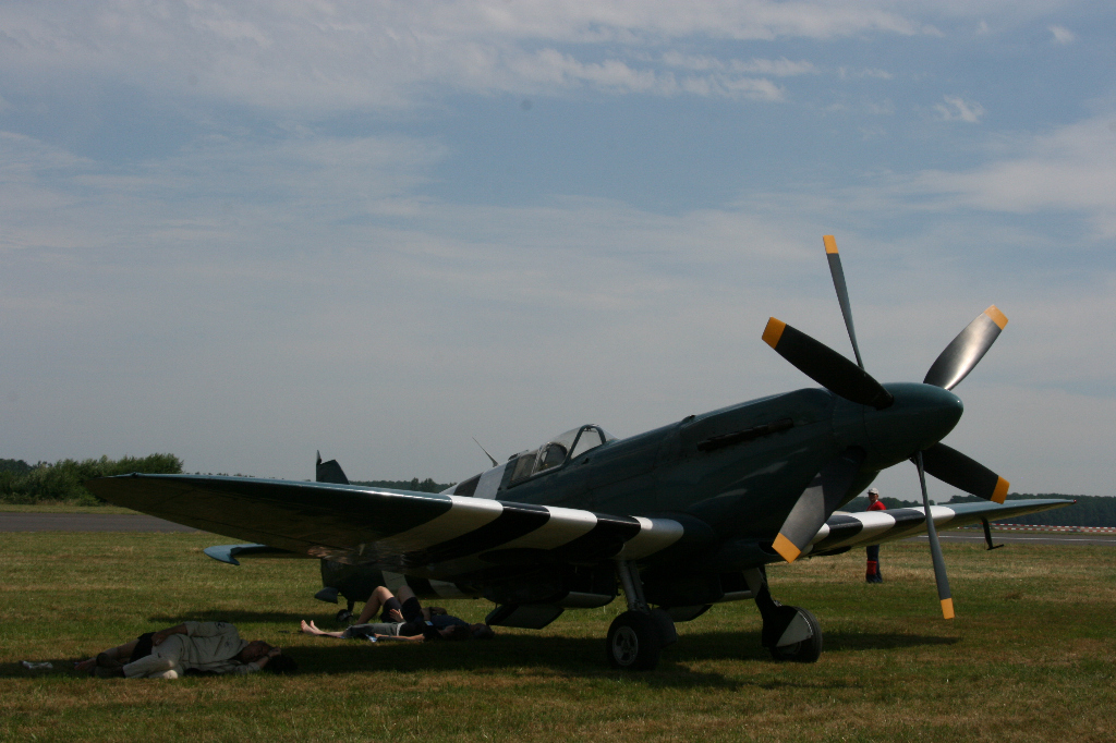 Spitfire Mk XIX PS890 F-AZJS