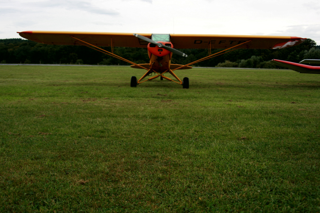 Piper L - 18 D-EFTB