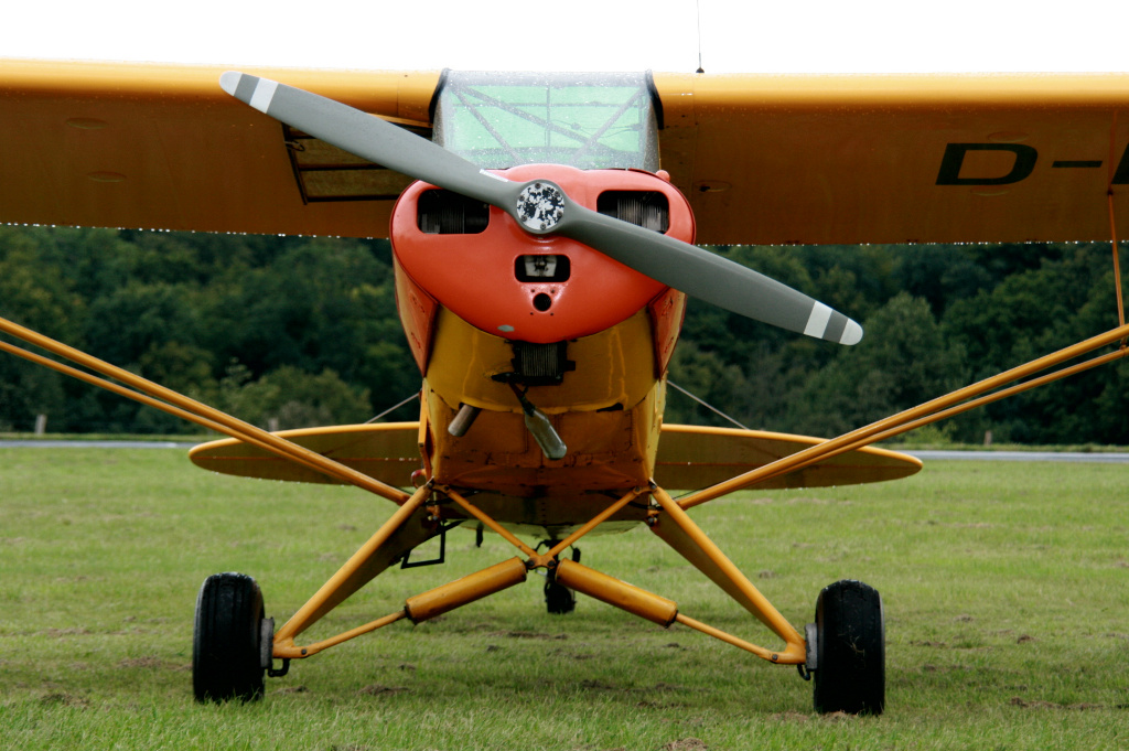 Piper L - 18 D-EFTB