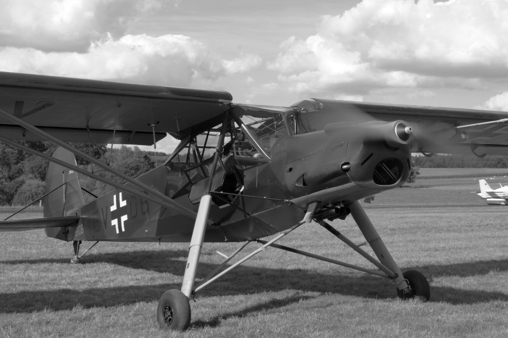 Fieseler Storch Fi156 D-EVDB von Dirk Bende