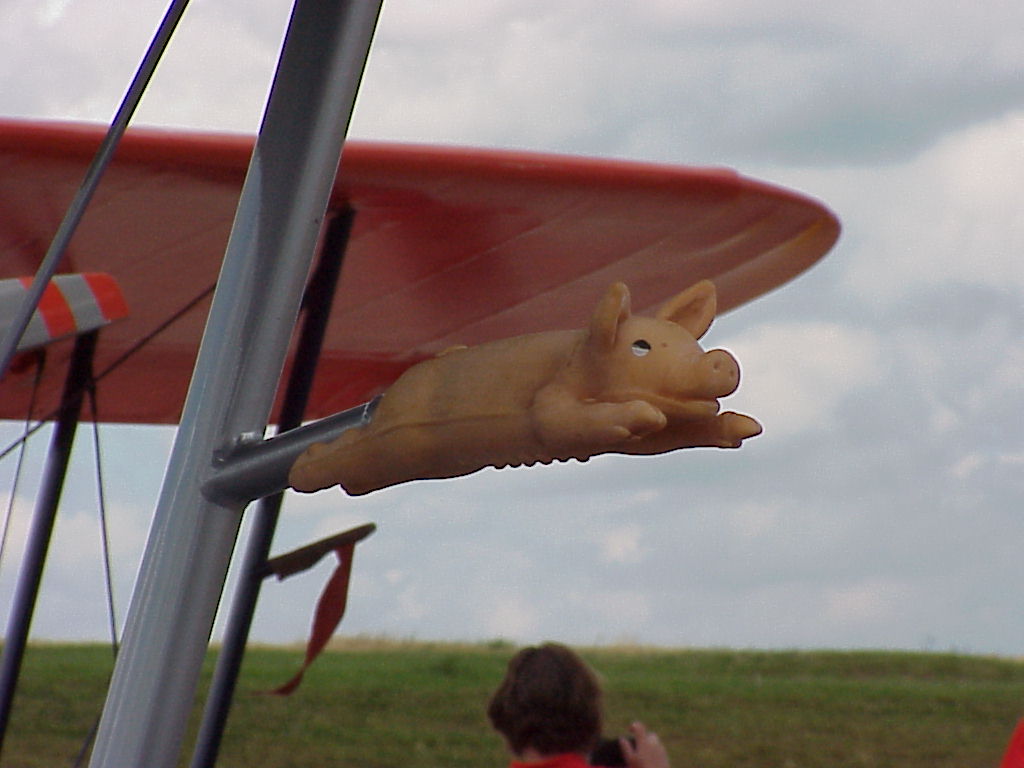 klicken f�r Originalgr��e !