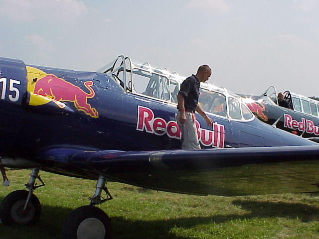 Walter on the wing
