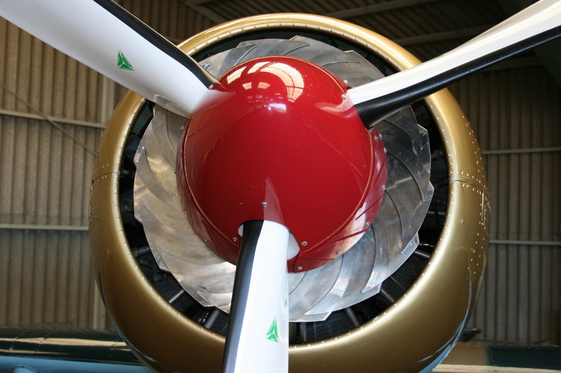 Yak-52