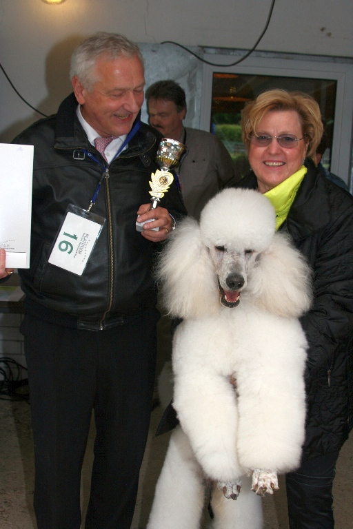 Bester Großpudel-Rüde auf der Regionalschau Frankfurt am 30.05.2010