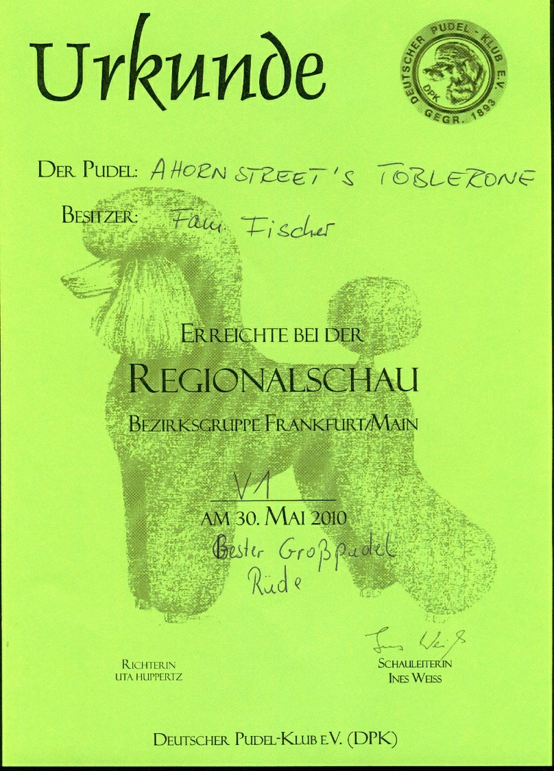 Bester Großpudel-Rüde auf der Regionalschau Frankfurt am 30.05.2010