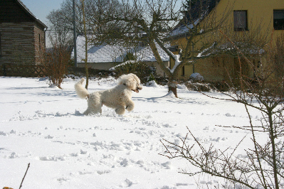 Letzter Schnee im Mrz 2013