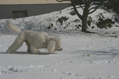 Letzter Schnee im Mrz 2013