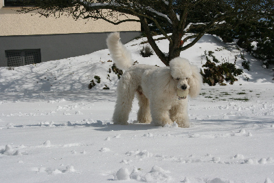 Letzter Schnee im Mrz 2013