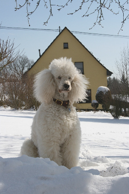 Letzter Schnee im Mrz 2013