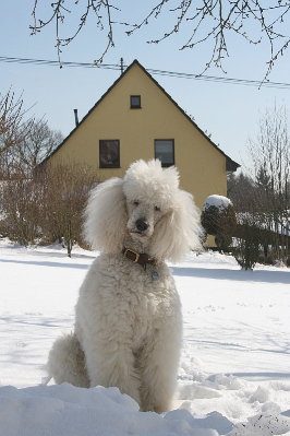 Letzter Schnee im Mrz 2013