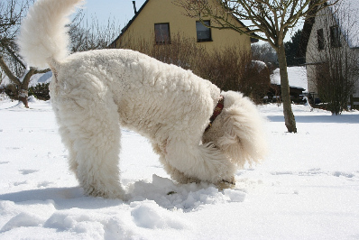 Letzter Schnee im Mrz 2013