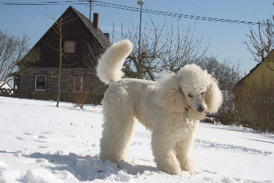 Letzter Schnee im Mrz 2013