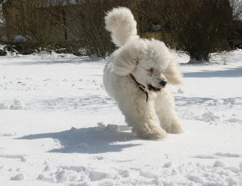 Letzter Schnee im Mrz 2013