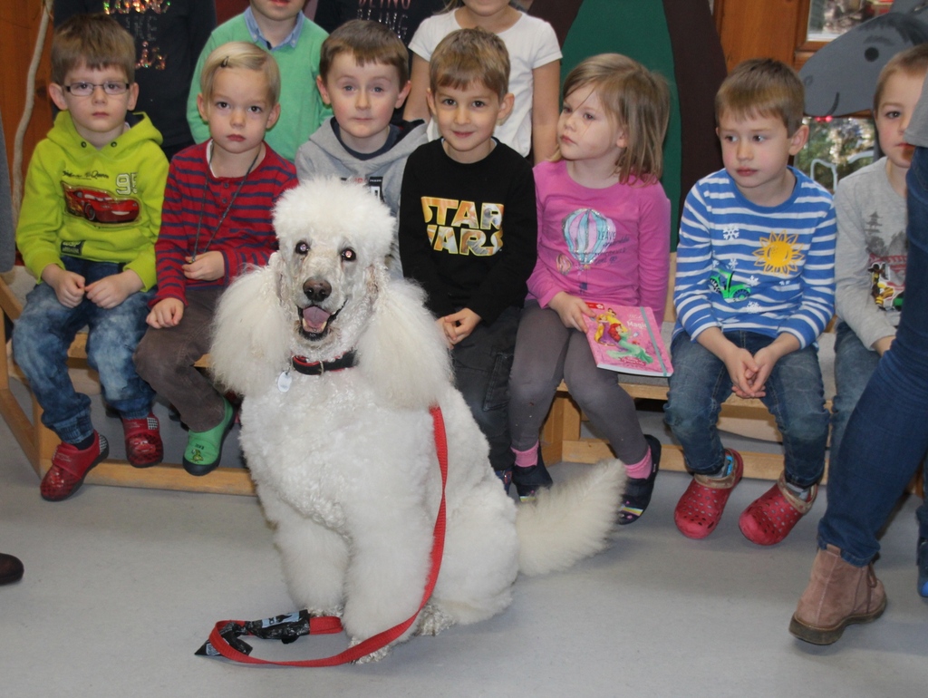 Streichelzoo im Kindergarten