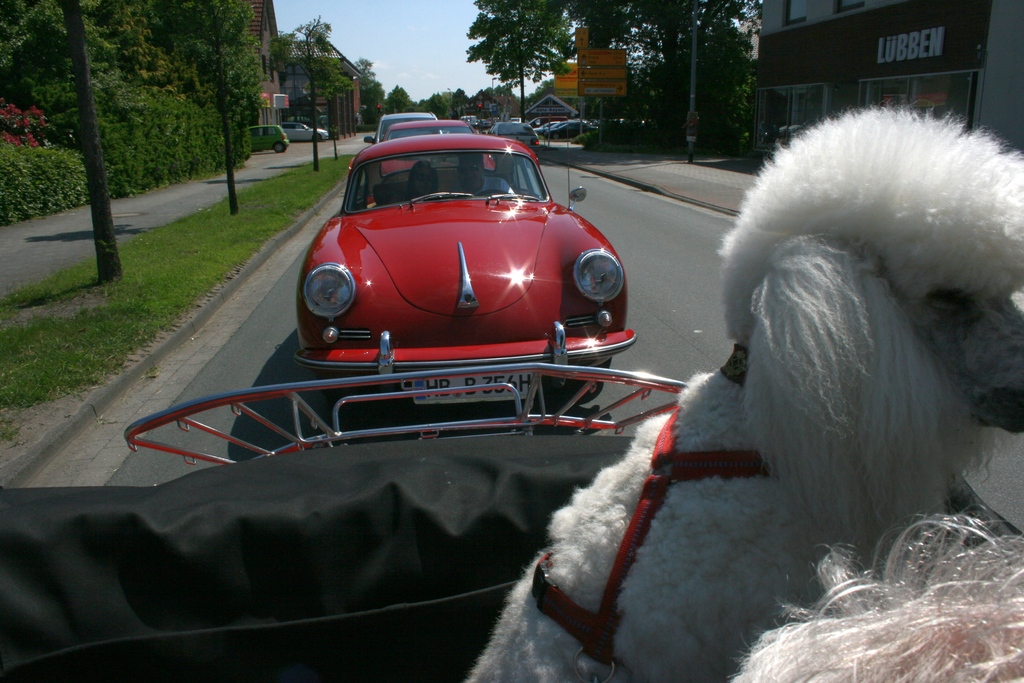 Torres unterwegs mit der Porsche356IG