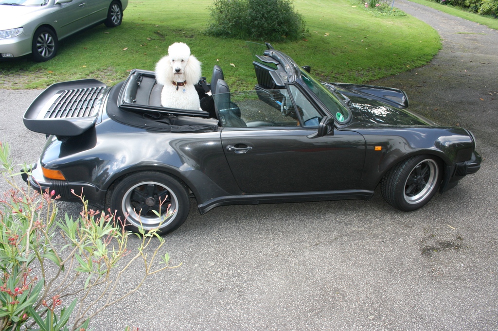 Torres im Porsche 911 WTL Cabrio, Baujahr 1986