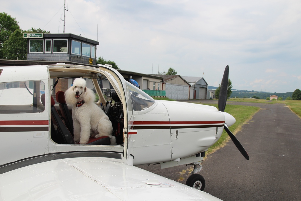 Flug zum Coburger Kongre