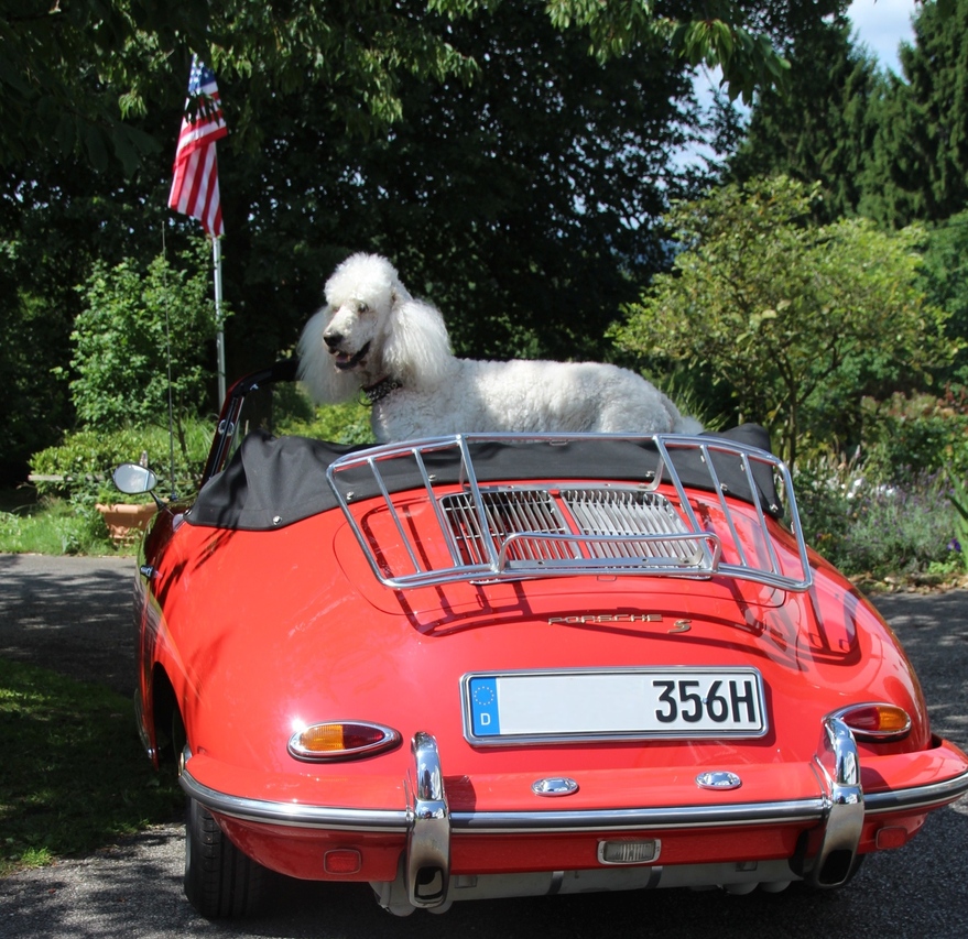 mit Porsche 356