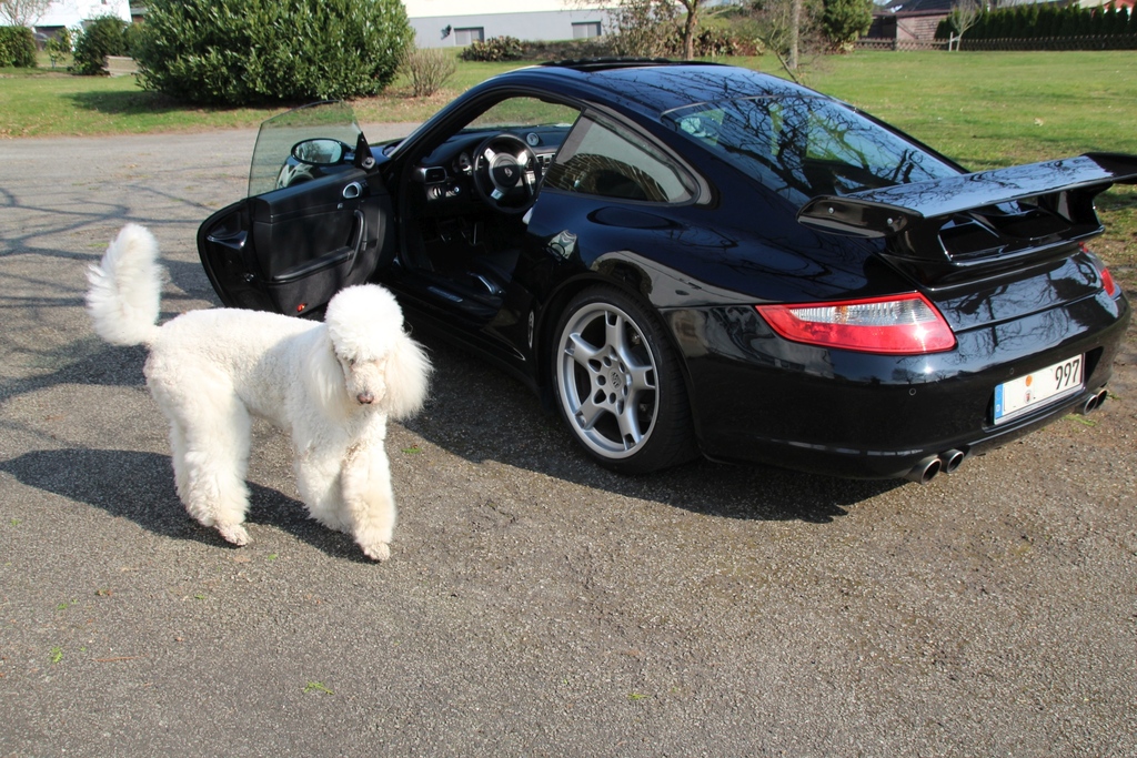 Torres und der Porsche 997