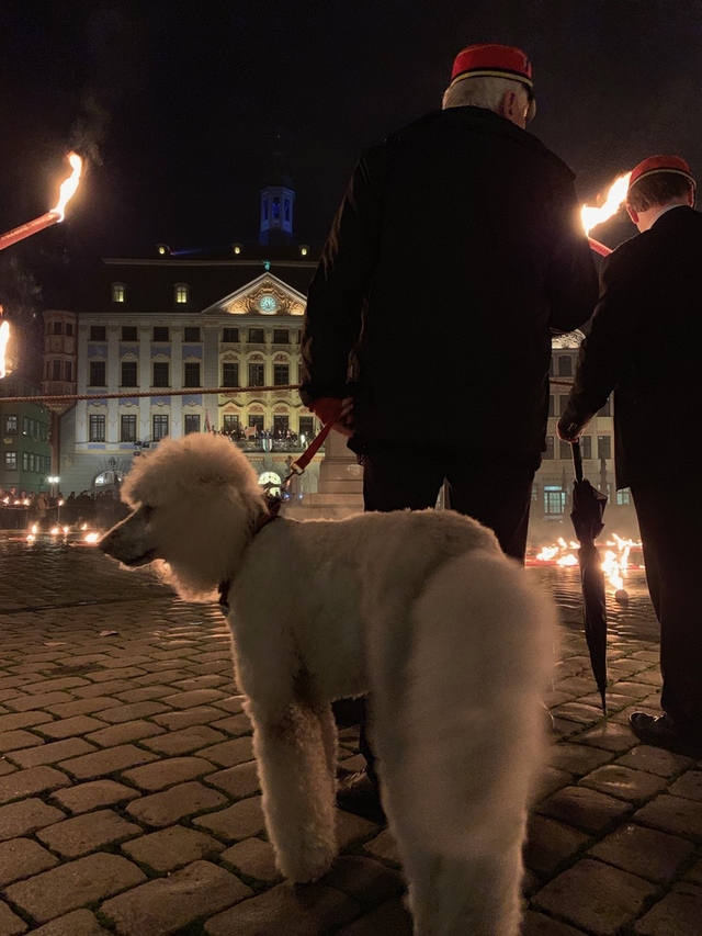 Marktplatz Coburg - Fackelzug 2019