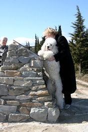 Knigspudel TORRES in Frankreich