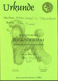 Bester Großpudel-Rüde auf der Regionalschau Frankfurt am 30.05.2010