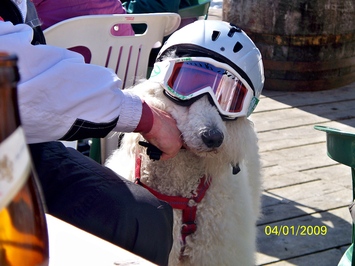 Gropudel im Wintersport
