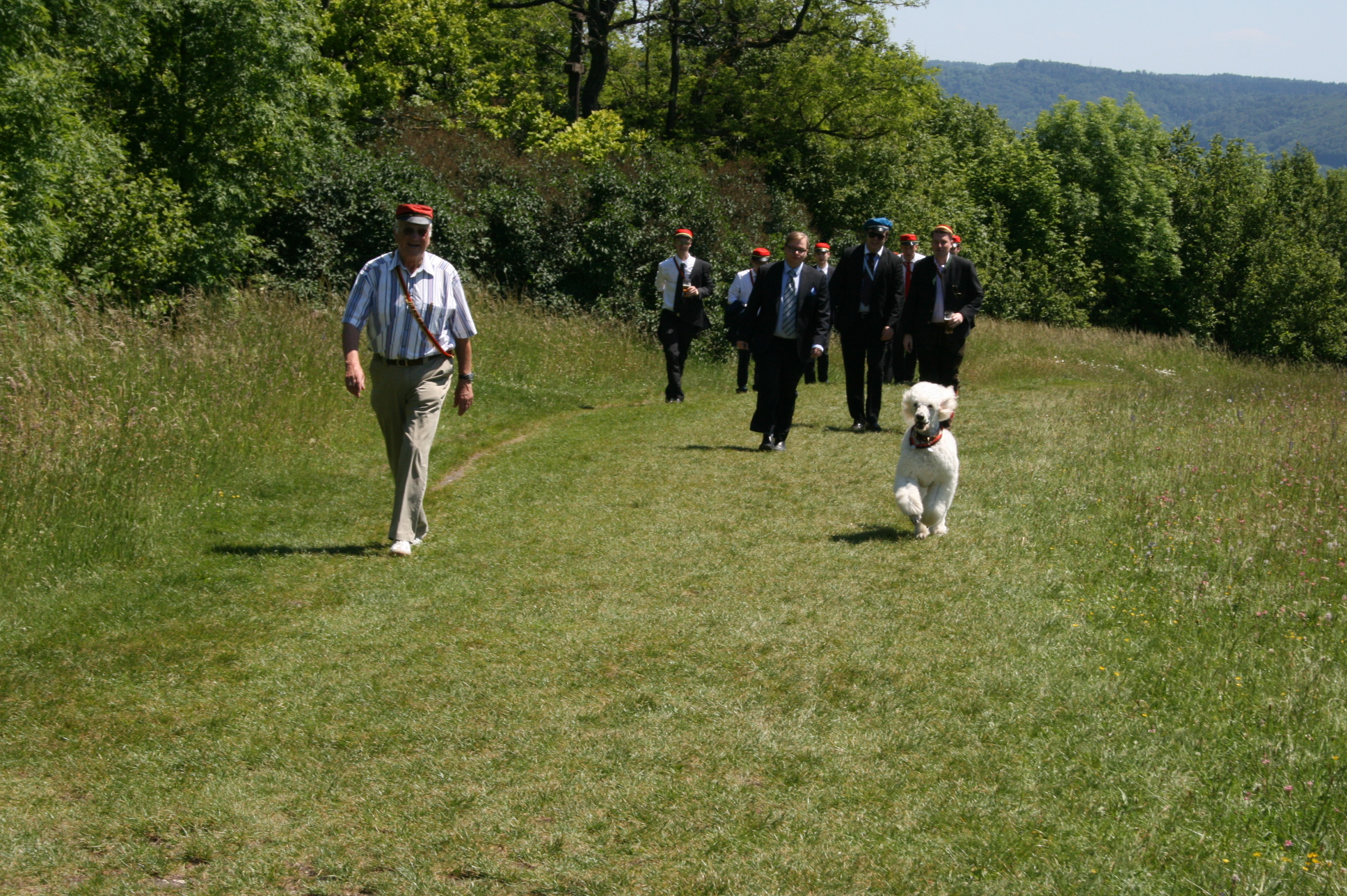 Gropudel Torres - offizieller Couleurhund der Teutonia Bonn