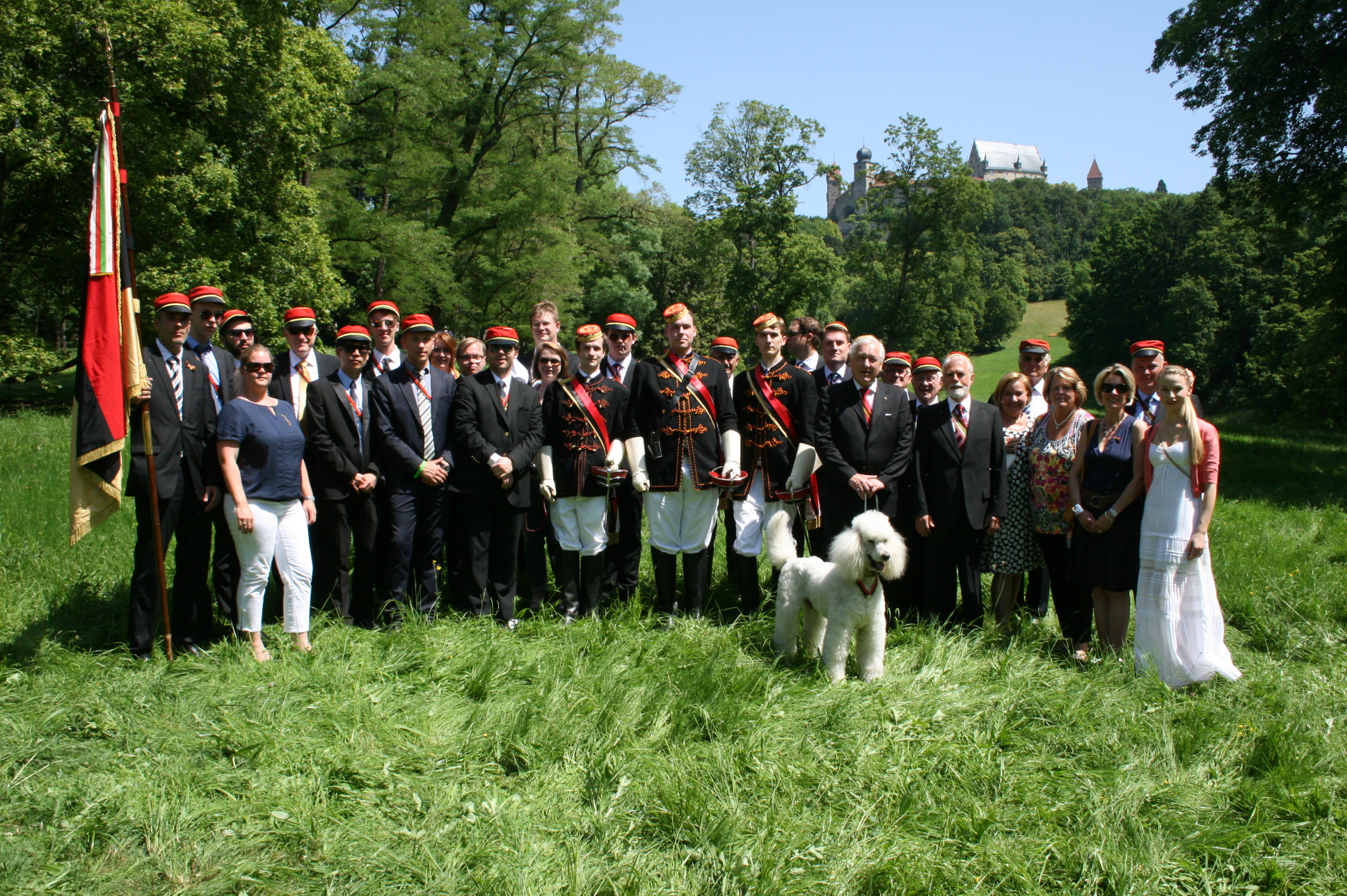 Gropudel Torres - offizieller Couleurhund der Teutonia Bonn