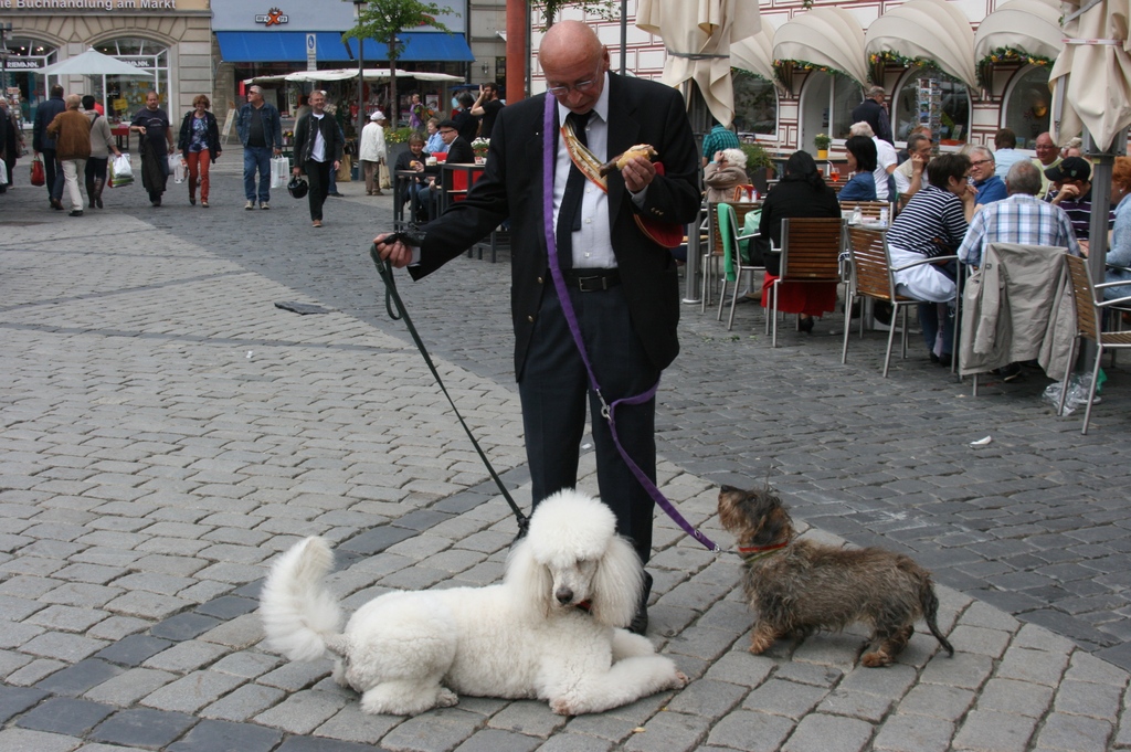 Couleurhund-Treffen Coburg 2015